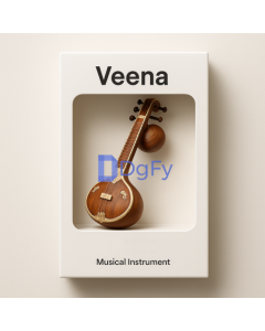 Veena Musical Instrument